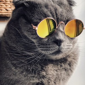 人妻在线无码天堂视频网
